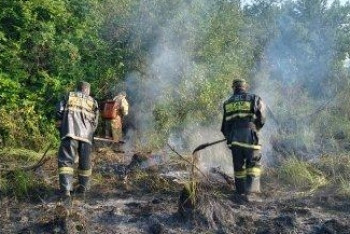 Фотография к новости: Сухую траву на 30 га продолжают тушить в ВКО