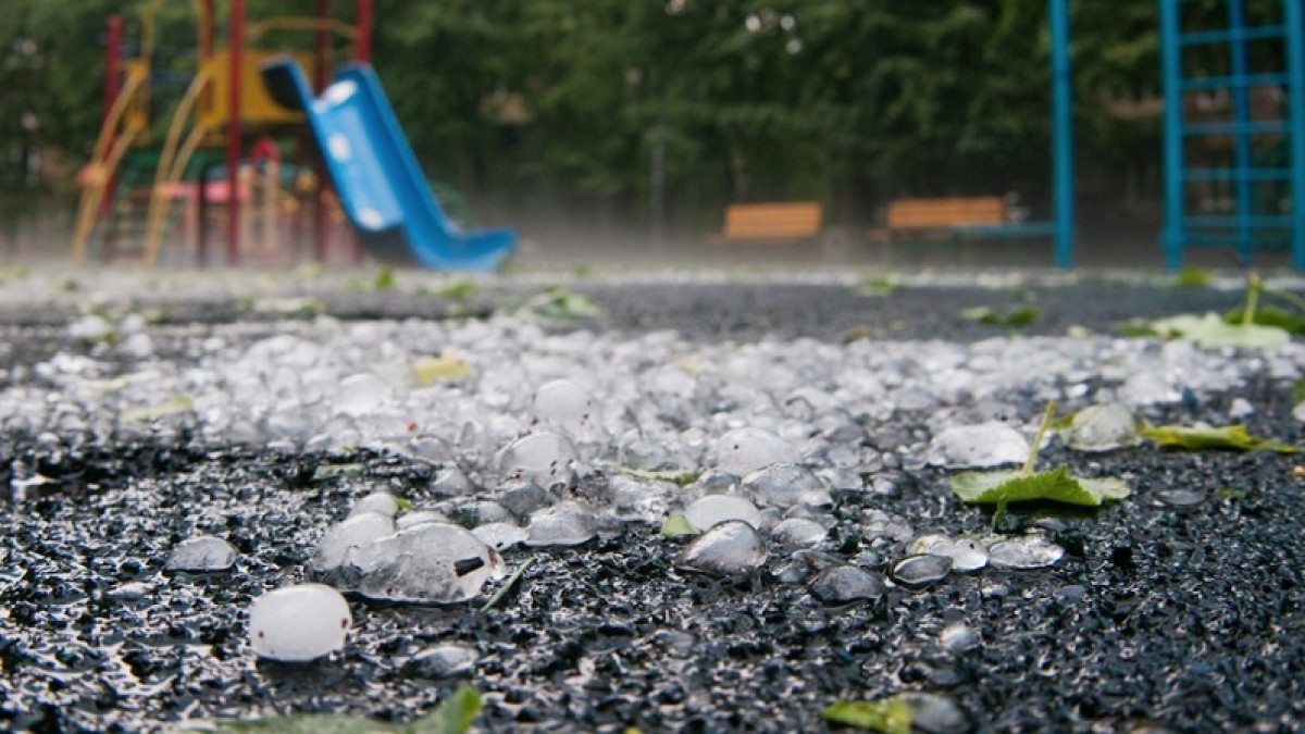 из открытых источников