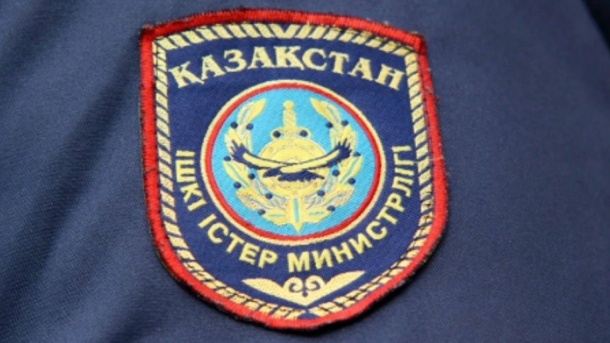 из открытых источников