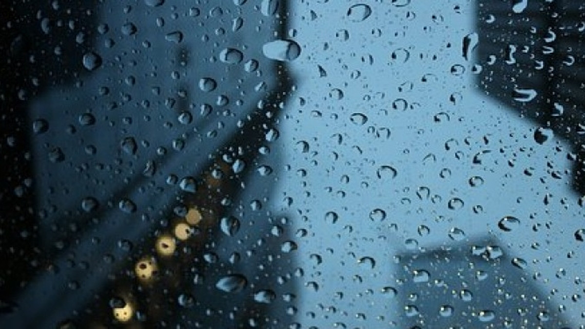 из открытых источников