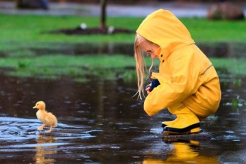 Фотография к новости: Неустойчивая погода сохранится на территории Казахстана 13 июня