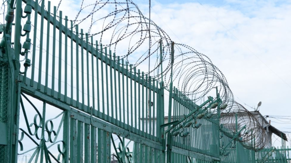 из открытых источников