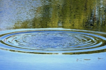 Фотография к новости: Российский турист утонул в Алматинской области