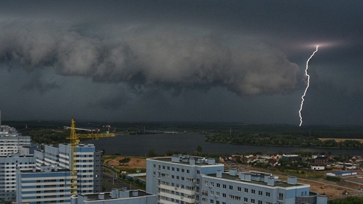 из открытых источников