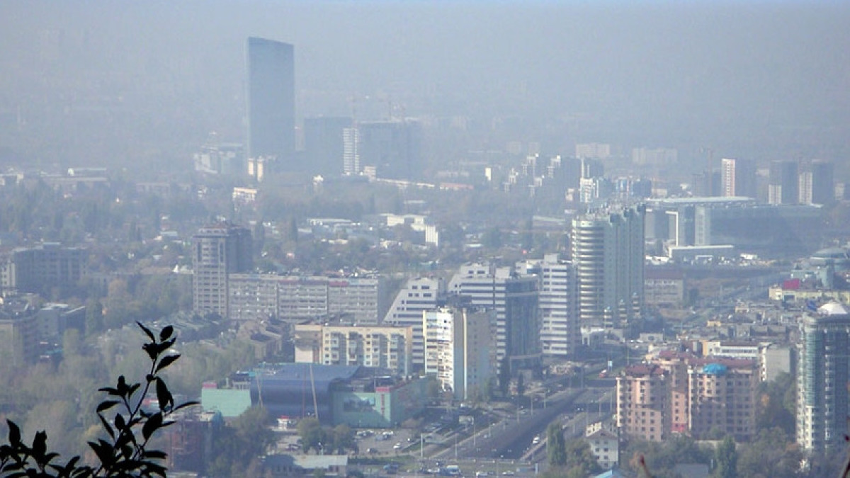 из открытых источников