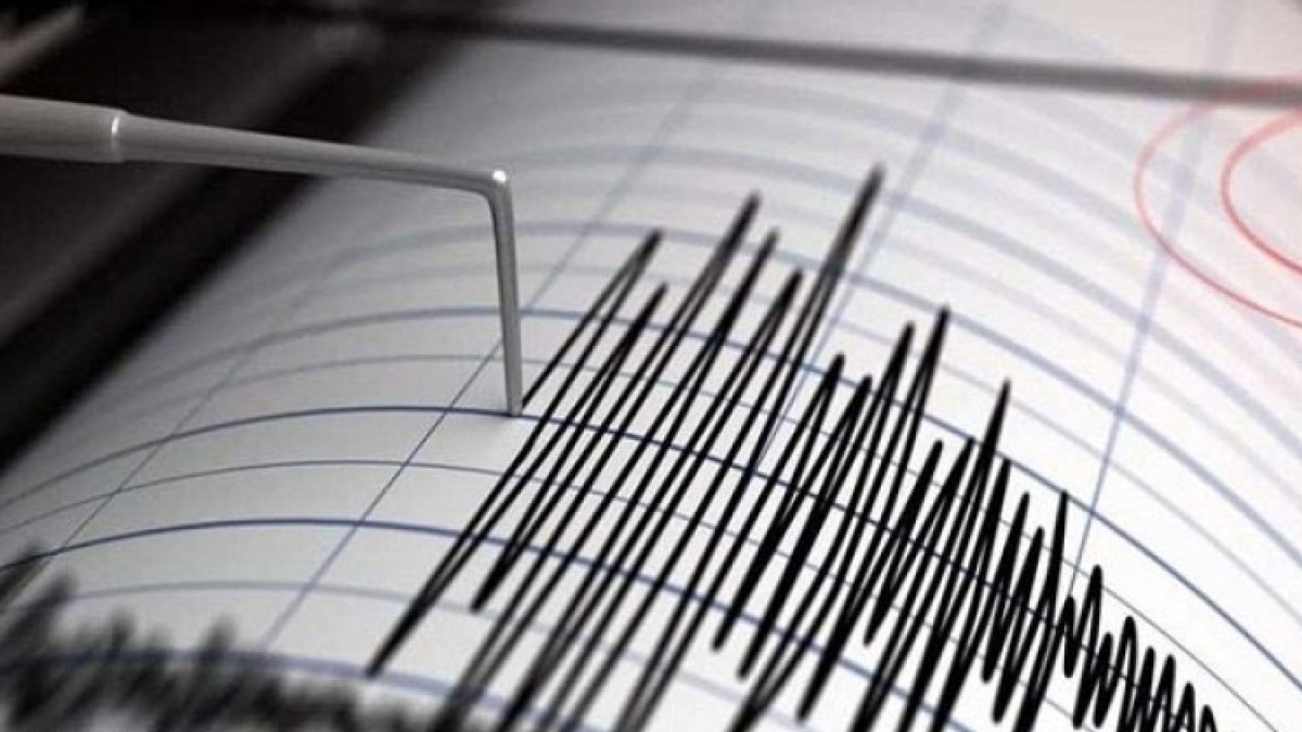 из открытых источников