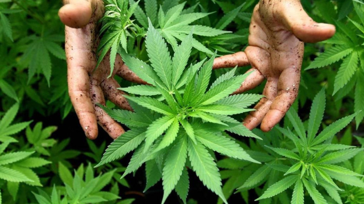 из открытых источников