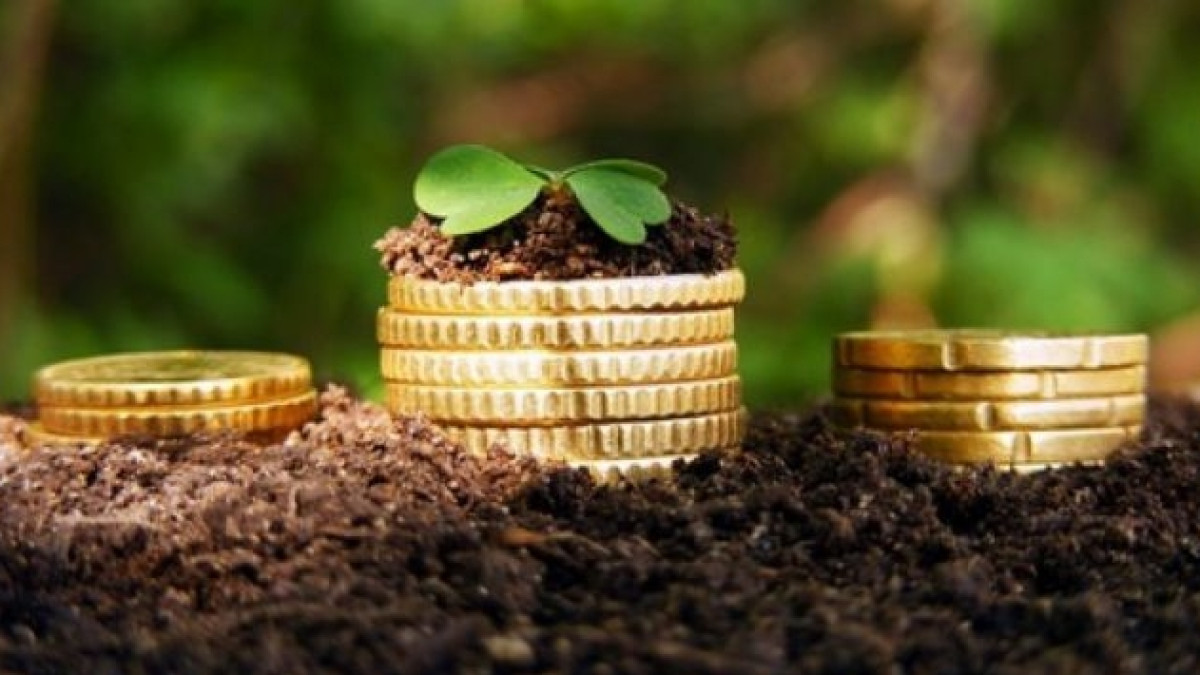 из открытых источников  