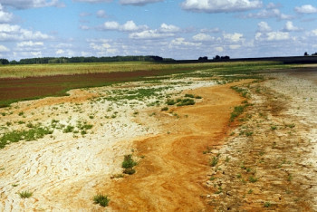 Фотография к новости: ЕС выделил Казахстану 800 тыс евро для борьбы с засолением почвы 