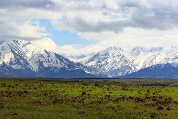 Фотография к новости: Назарбаев увеличил число районов в ЮКО