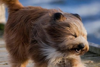 Фотография к новости: Штормовое предупреждение объявлено на севере и юге Казахстана 7 июня