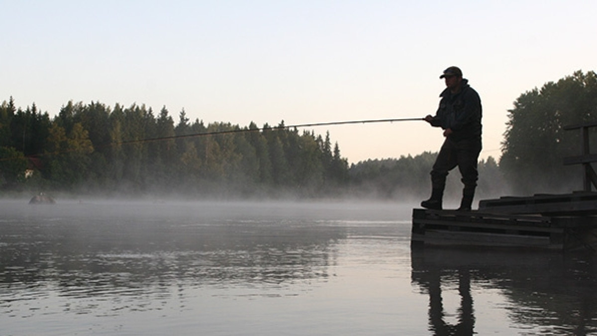 из открытых источников