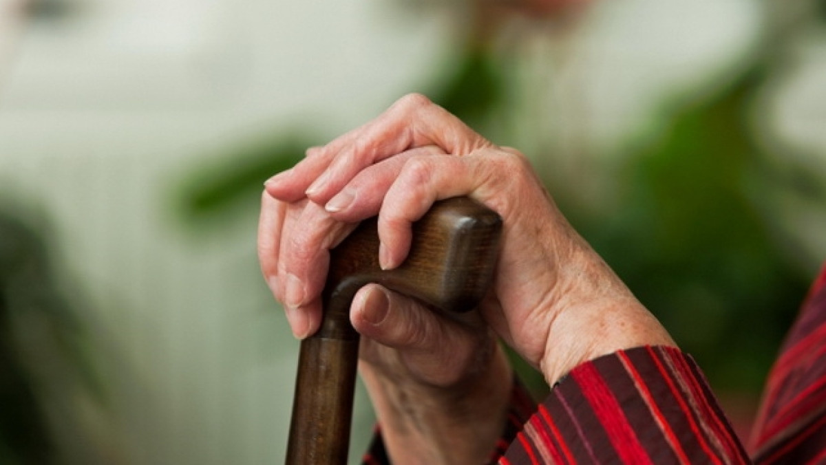 из открытых источников