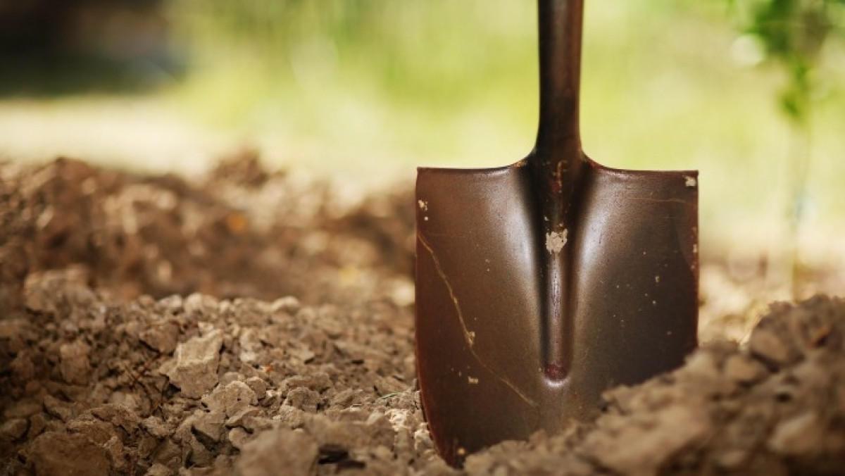 открытые источники