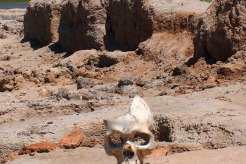 Фотография к новости: Захоронение воина времён гуннов обнаружили в Актюбинской области