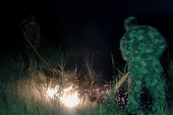 Трава площадью более 100 гектаров горит в Жамбылской области 