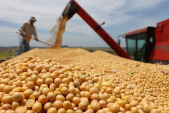 Фотография к новости: Осенью 100 тонн Северо-Казахстанских соевых бобов отправят в Китай