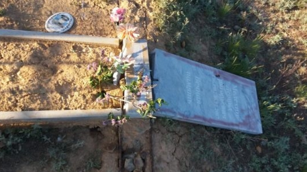 из открытых источников