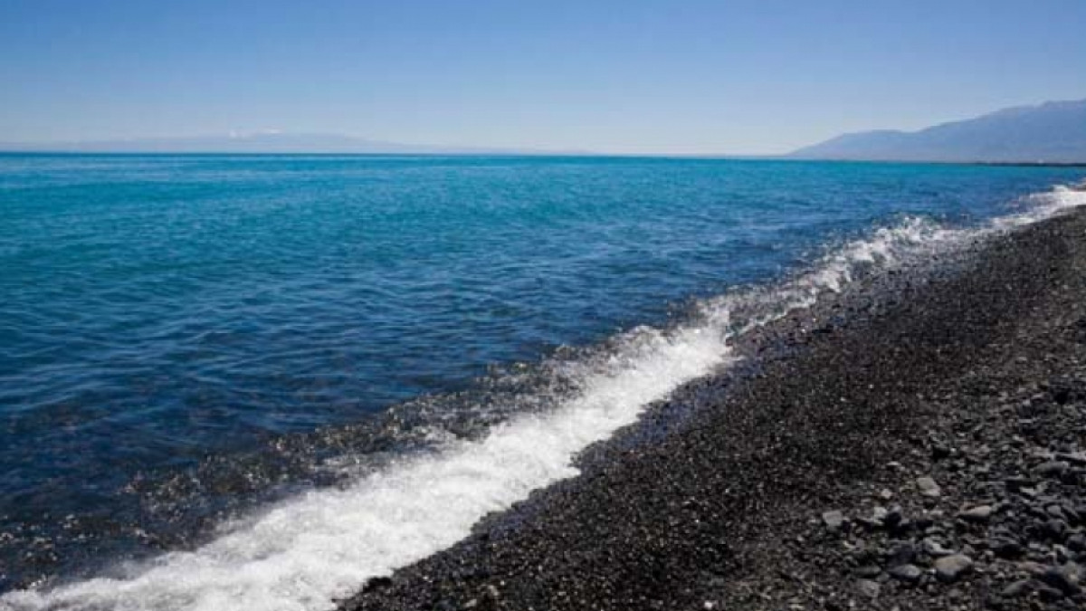 из открытых источников