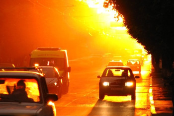 Фотография к новости: Жару обещают на севере Казахстана через неделю