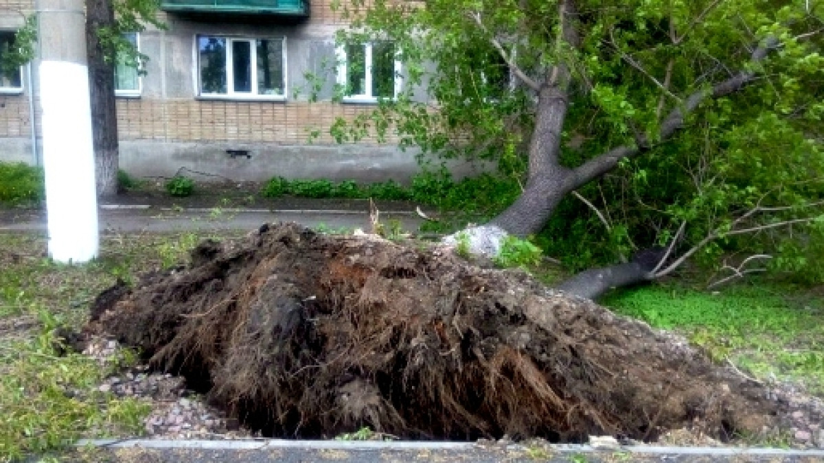 Надежда Наумова