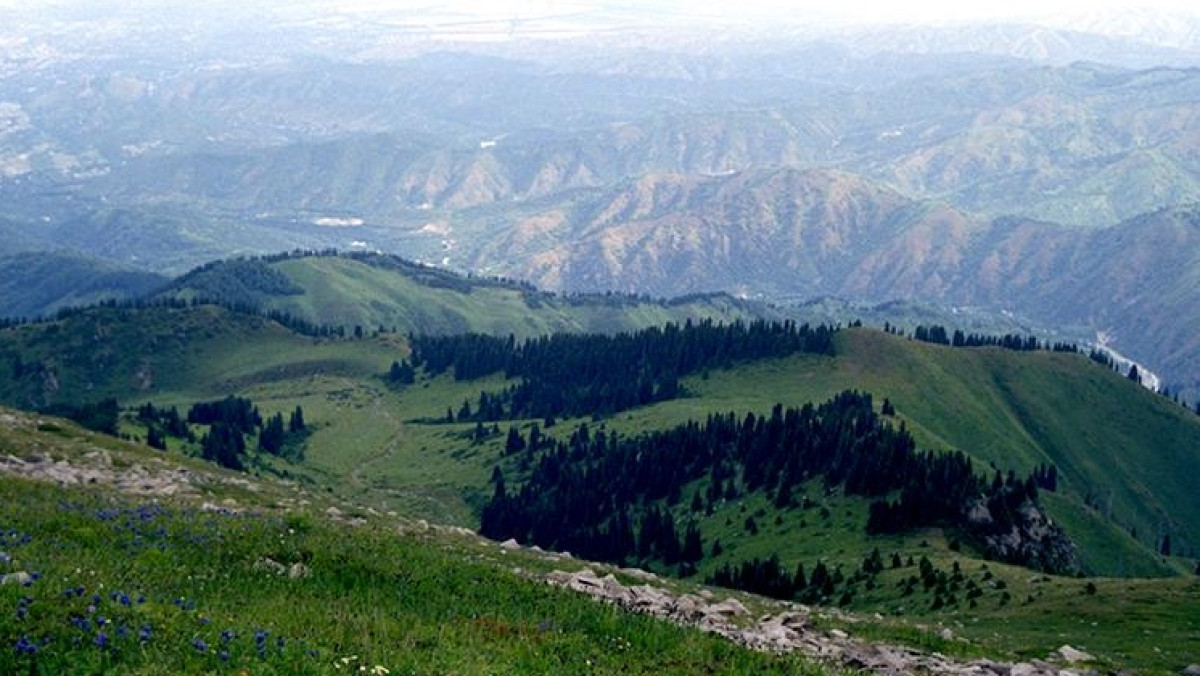 Из открытых источников 