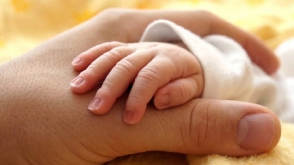 из открытых источников