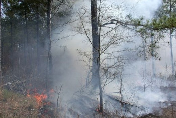 Фотография к новости: Чрезвычайная пожарная опасность ожидается в Мангистауской области
