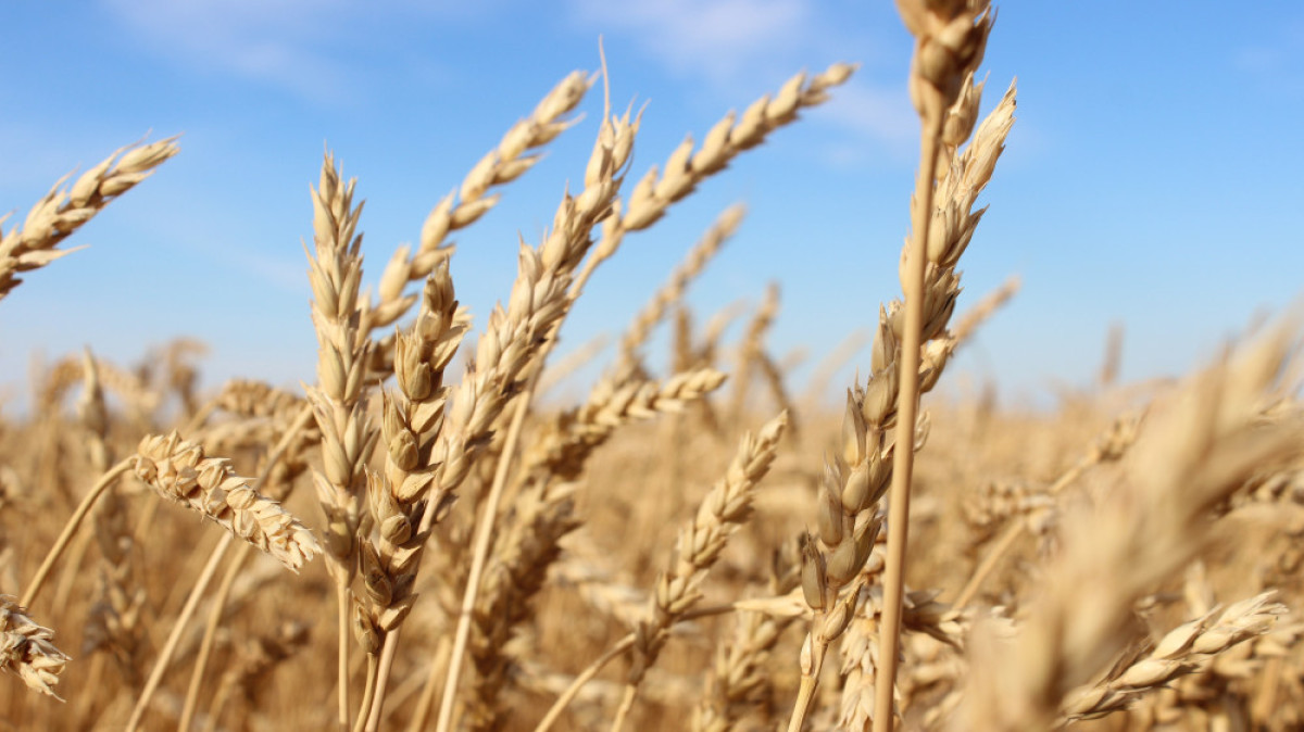 пресс-служба КазАгро