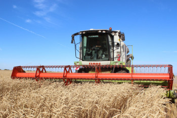 Фотография к новости: Как поднять урожайность казахстанских сельхозкультур, рассказал ректор аграрного вуза