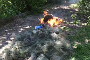 Больше 200 рыболовных сетей сожгли в ЗКО