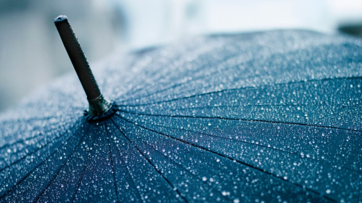 из открытых источников