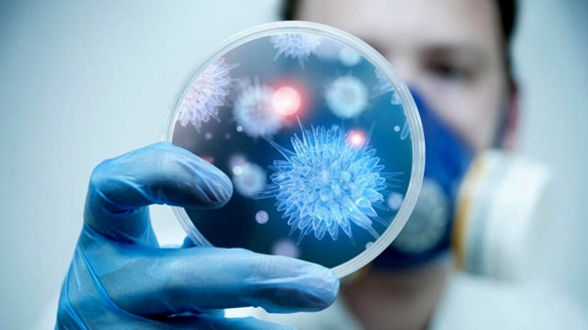 из открытых источников