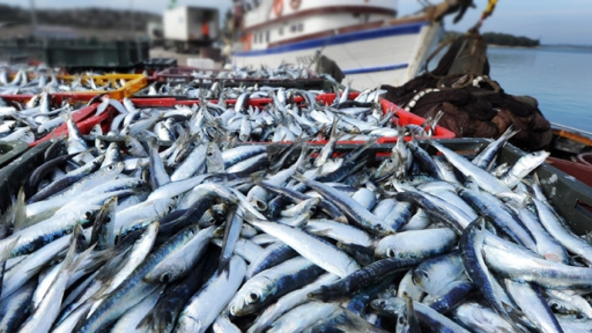 из открытых источников