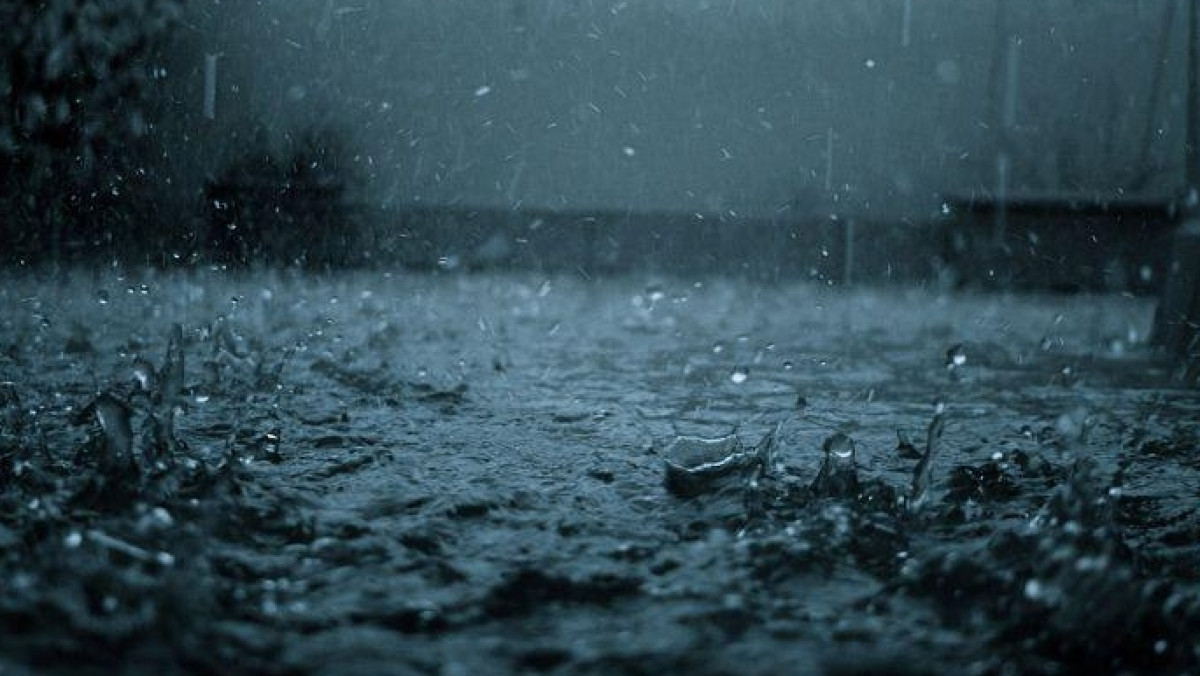 Из открытых источников 