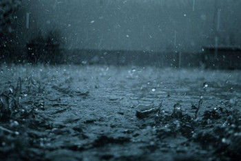 Фотография к новости: Дожди с грозами ожидаются на большей части страны 29 мая 