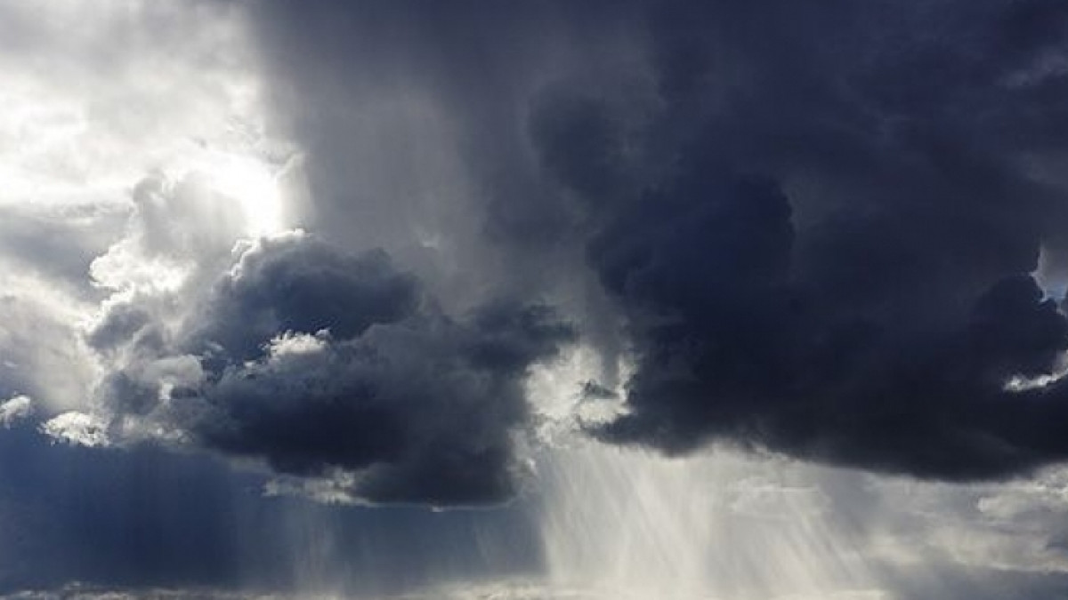 из открытых источников