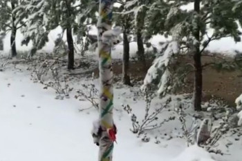 Фотография к новости: Снег в мае удивил жителей Акмолинской области