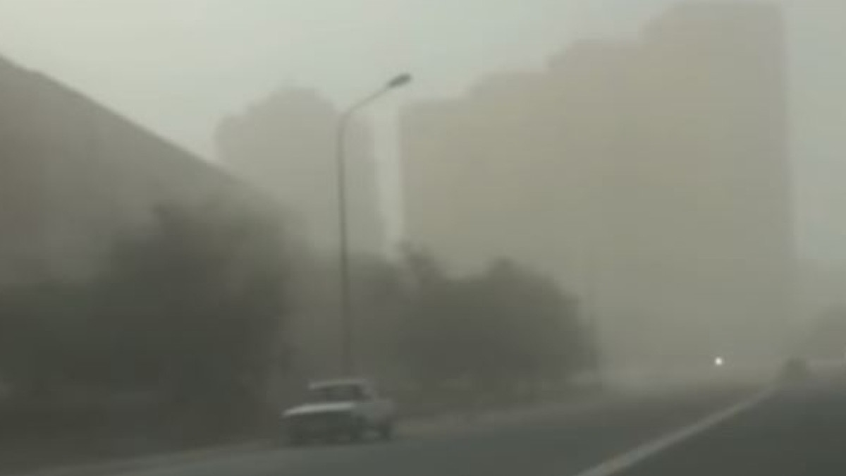 скриншот видео