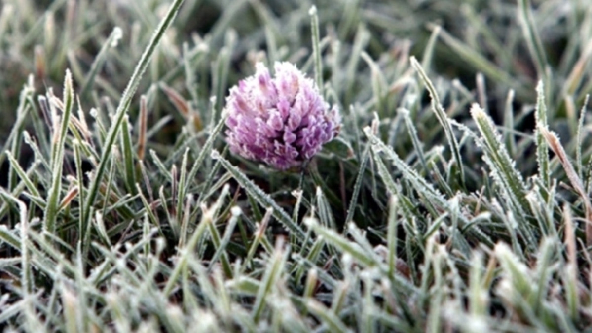 Из открытых источников 