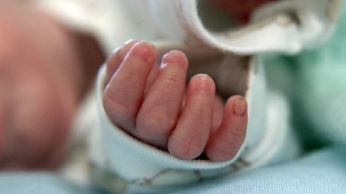 из открытых источников