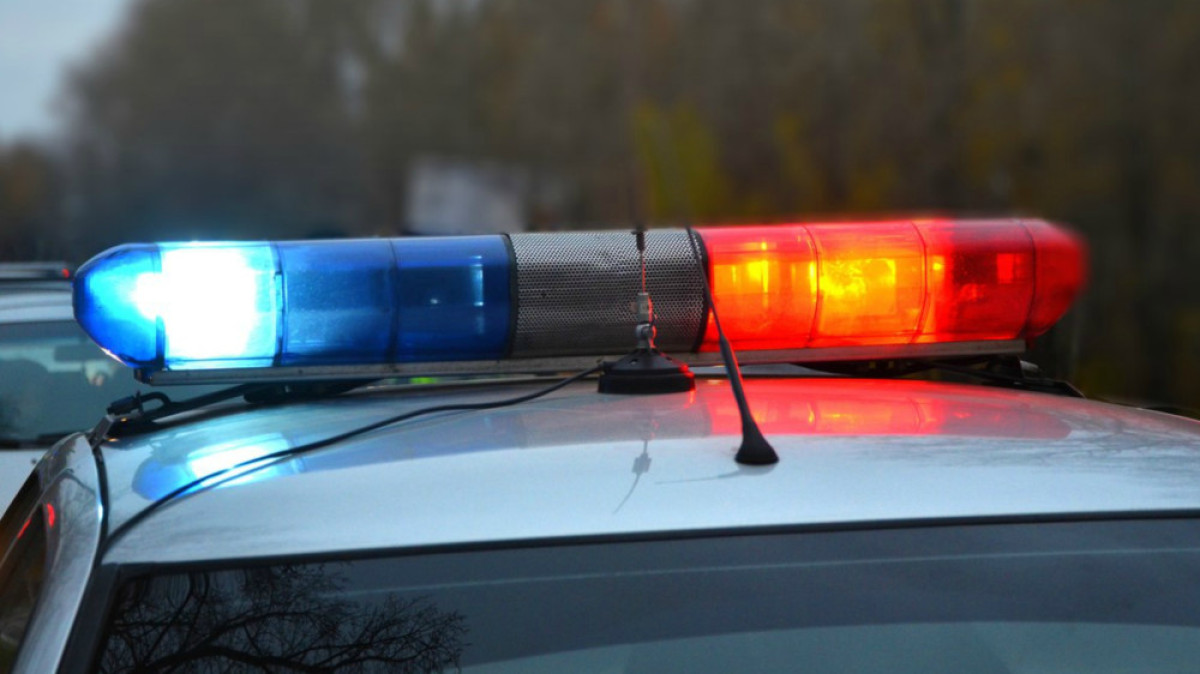 из открытых источников