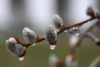 Фотография к новости: В семи регионах Казахстана объявлено штормовое предупреждение 23 мая