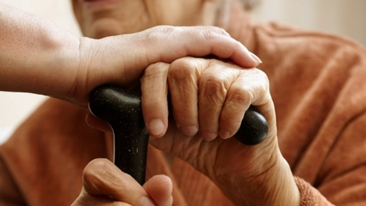 из открытых источников