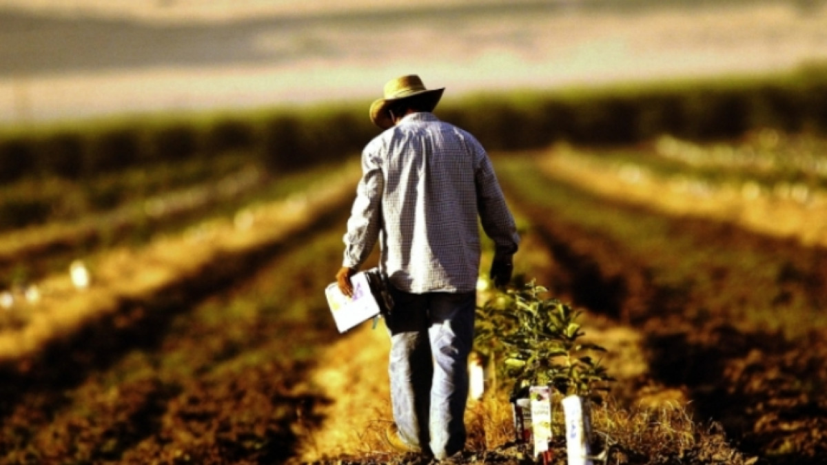 из открытых источников