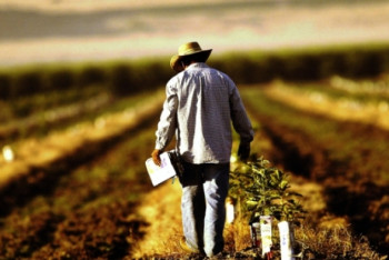 Фотография к новости: Жамбылский фермер пожаловался сенаторам на проблемы с субсидиями