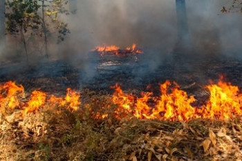 Фотография к новости: Названа предположительная причина пожара в Семее 