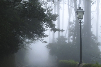 Фотография к новости: Туман на севере страны прогнозируют синоптики 22 мая 