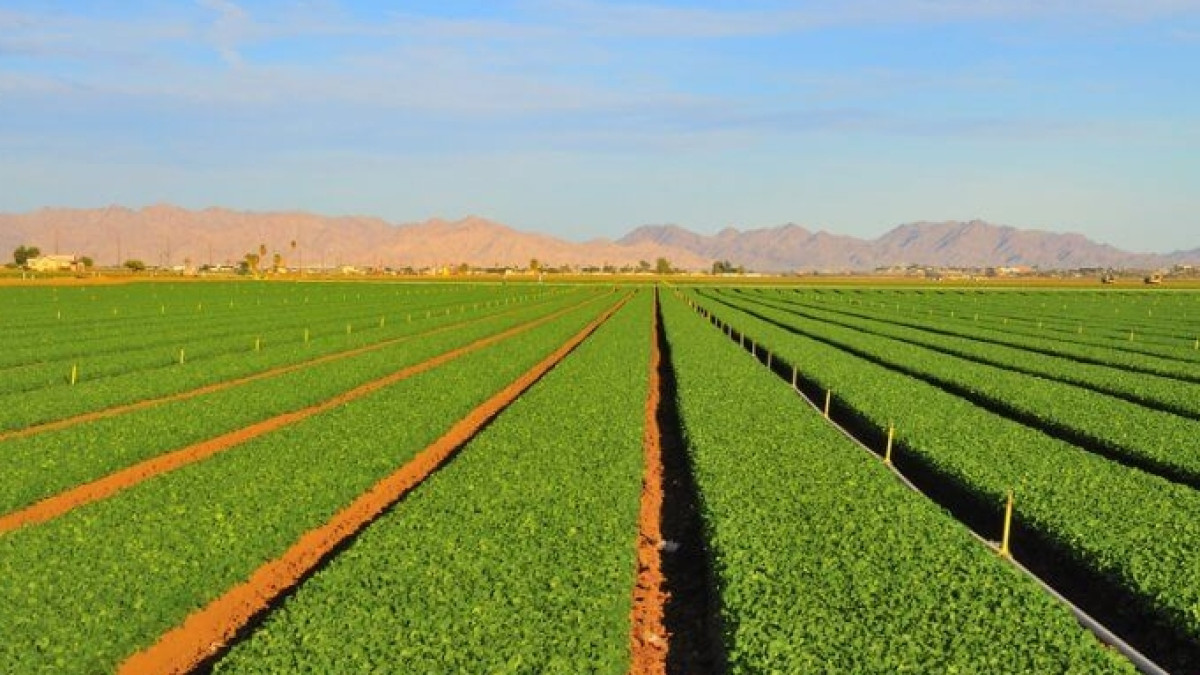 Из открытых источников 