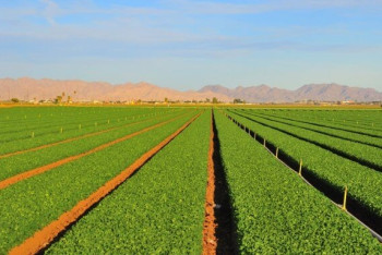 Фотография к новости: Первый полигон точного земледелия создан в Казахстане 